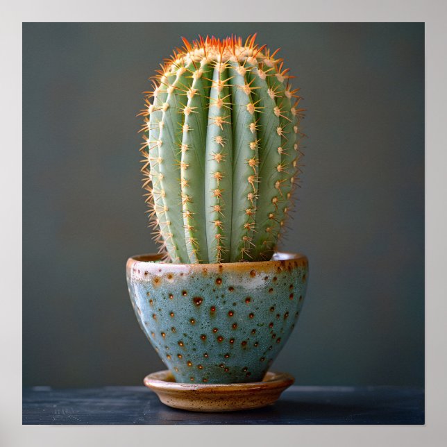 Green Cactus in a Teal Ceramic Pot Photography Poster (Front)