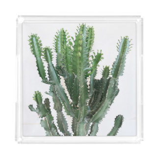 Green Cactus: Minimalist White Background Acrylic Tray