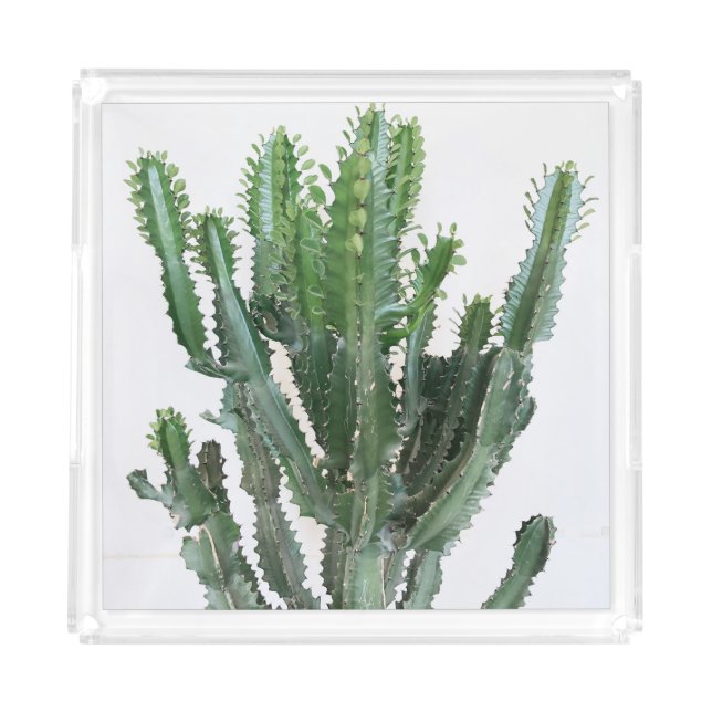 Green Cactus: Minimalist White Background Acrylic Tray (Front)