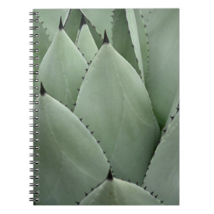 Green cactus notebook