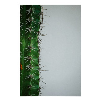 Green cactus on white walls poster