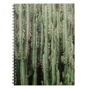 Green cactus plant close-up photo notebook