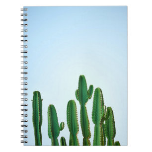 Green cactus plant in white background notebook