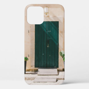 GREEN CACTUS PLANT NEAR GREEN DOOR iPhone 12 CASE