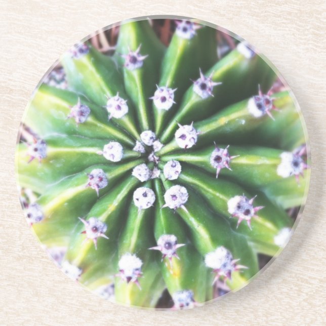 Green Cactus Sandstone Coaster (Front)