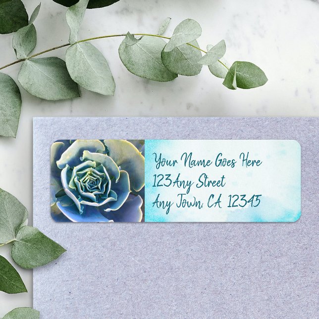 Green cactus succulent photography address stylish label (Creator Uploaded)