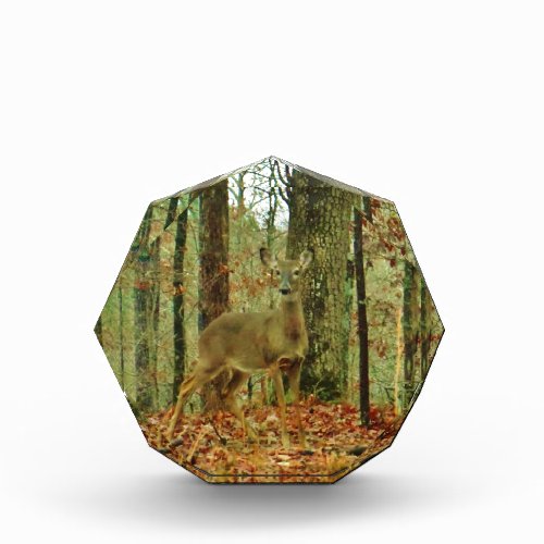 Green CamoCamouflage Deer Acrylic Award