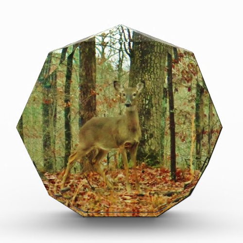 Green CamoCamouflage Deer Acrylic Award