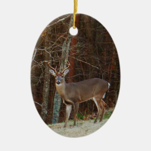 Green CamoCamouflage Deer personalized Ceramic Ornament