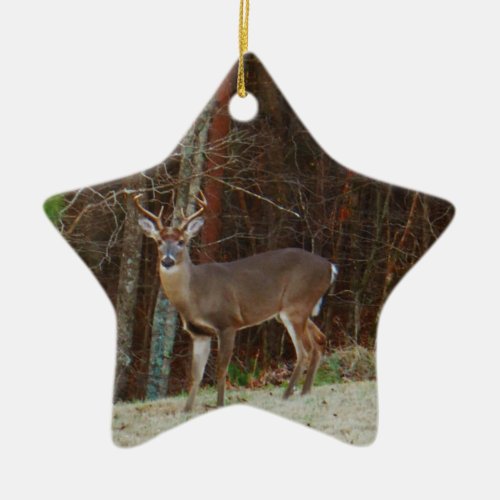 Green CamoCamouflage Deer personalized Ceramic Ornament