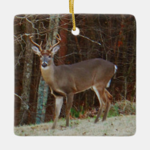 Green Camo,Camouflage Deer personalized Ceramic Ornament