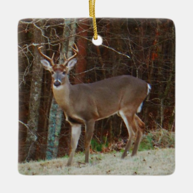 Green Camo,Camouflage Deer personalized Ceramic Ornament (Front)