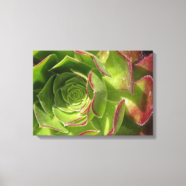 Green Canvas Print (Front)