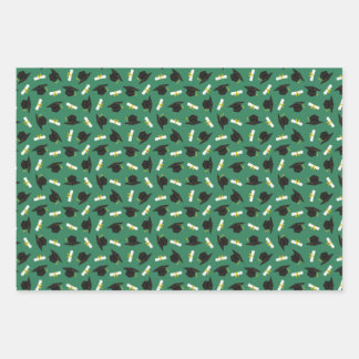 Green Caps Diplomas Mixed Graduation Patterns Wrapping Paper Sheets