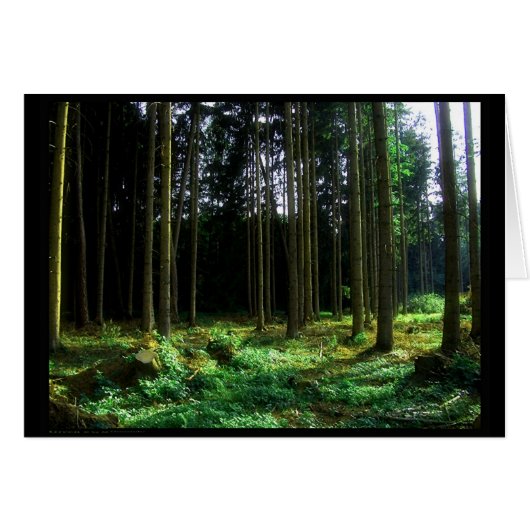 Green (Card) Cards (Front Horizontal)