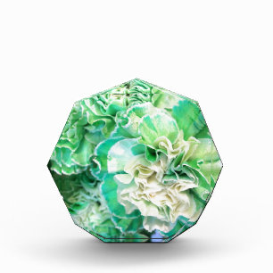 Green Carnation Award