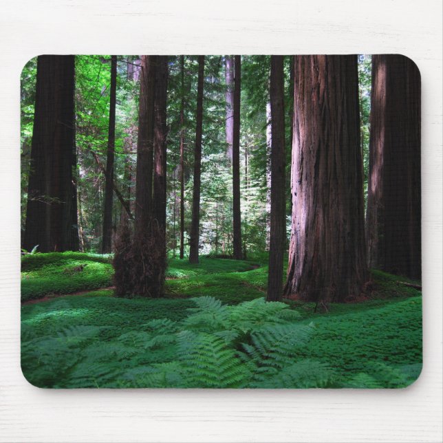 Green Carpet of the Redwoods Mouse Pad (Front)