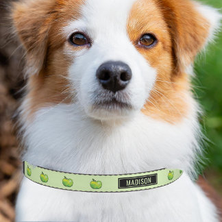 Green Cartoon Apples With Personalized Name Pet Collar