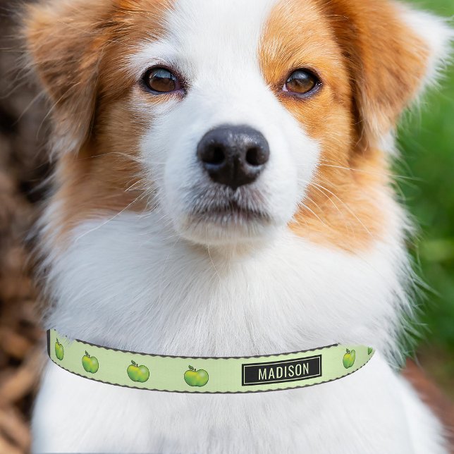 Green Cartoon Apples With Personalized Name Pet Collar (Please note: This image is a digital mockup. The product may not be in scale.)