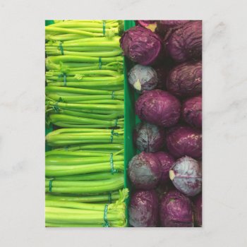 Green Celery  Purple Cabbage Post Card by logodiane at Zazzle
