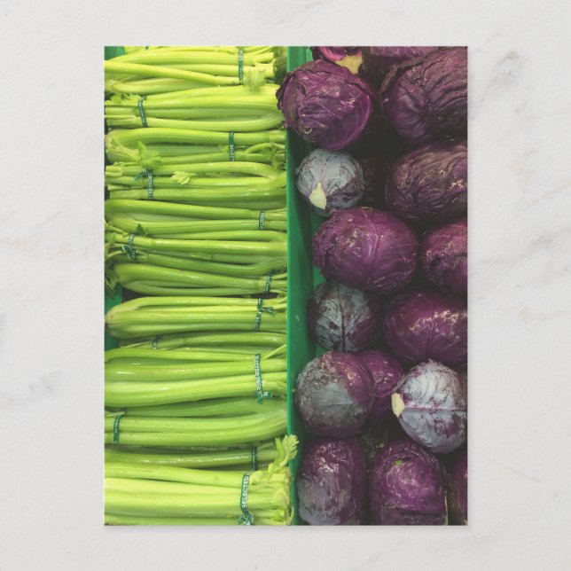 Green celery, Purple Cabbage post card (Front)