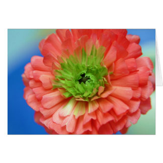 green center ranunculus cards