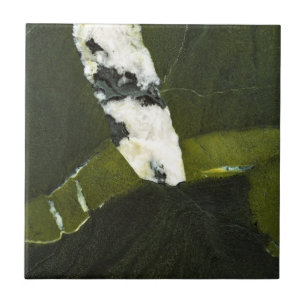 Green ceramic tile