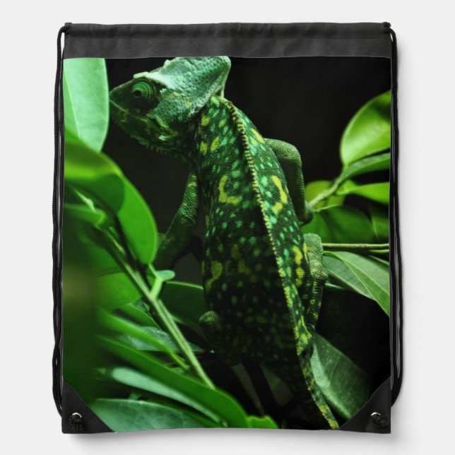 Green Chameleon In Leaves Drawstring Backpack (Front)