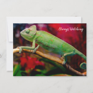 Green chameleon on the branch note card