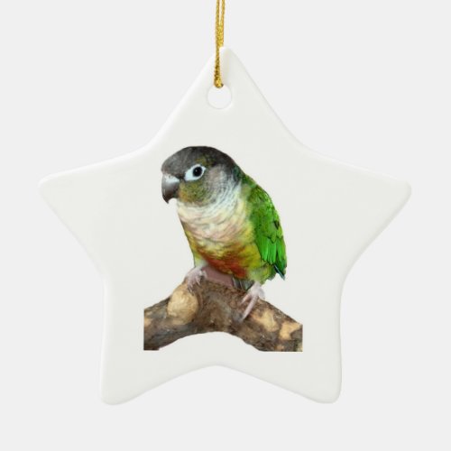 Green Cheek Conure Ceramic Ornament