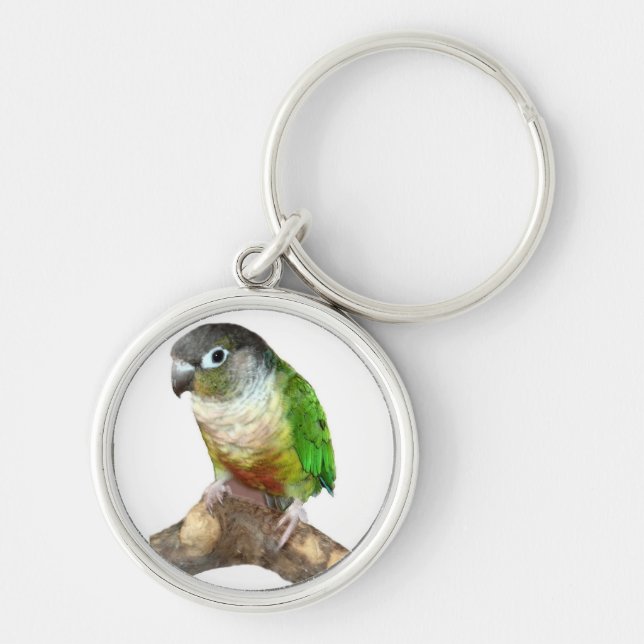 Green Cheek Conure Keychain (Front)