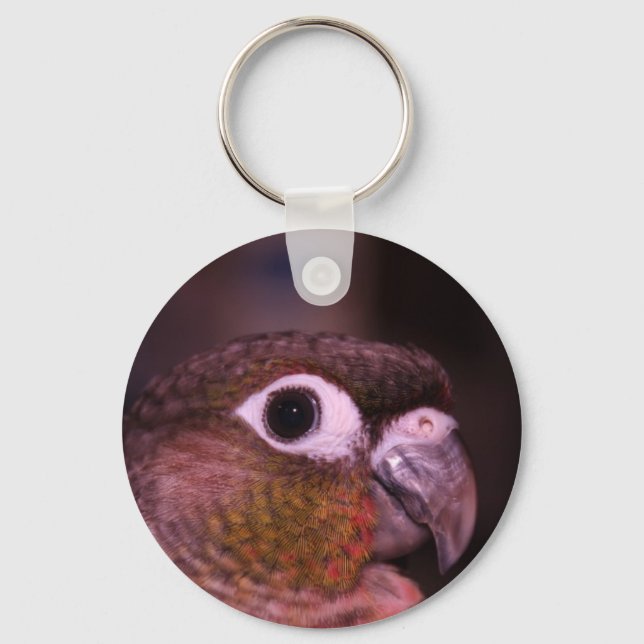 Green Cheek Conure Keychain (Front)