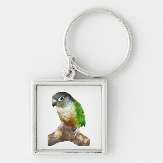 Green Cheek Conure Keychain (Front)