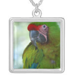 Green Cheek Conure Necklace