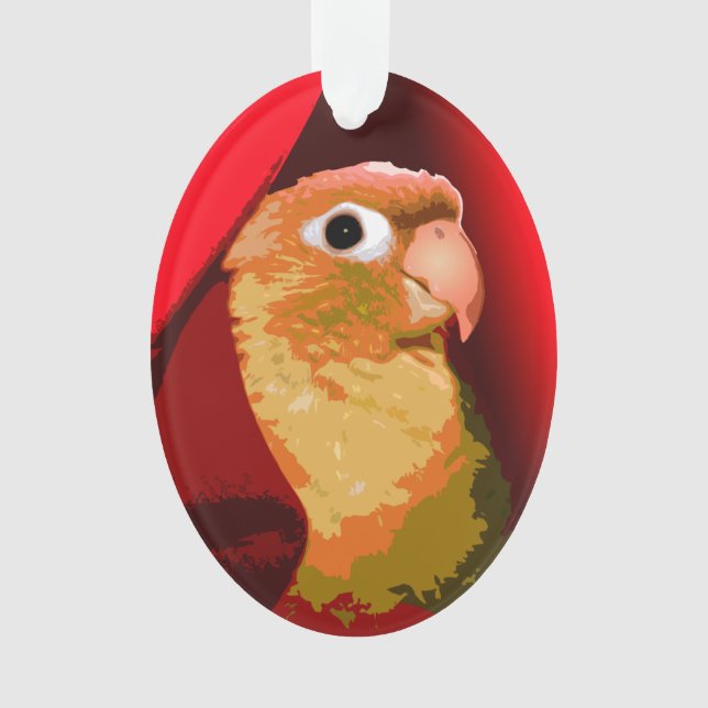 Green Cheek Conure Parakeet Snuggles Pet Bird Love Ornament (Front)