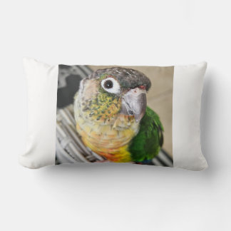 Green Cheek Conure Parrot Lumbar Pillow
