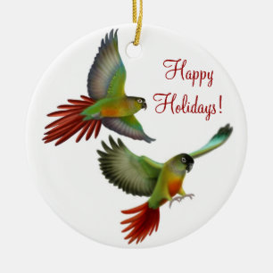 Green Cheek Conure Parrots Ornament