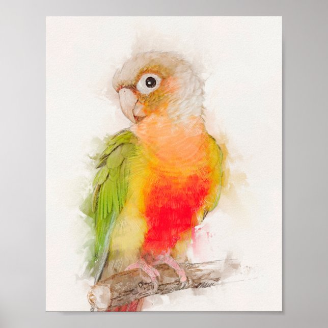 Green Cheek Conure Portrait Poster (Front)