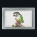Green Cheek Conure Rectangular Belt Buckle<br><div class="desc">A yellow sided green cheeked conure is shown saying on this attractive belt buckle</div>