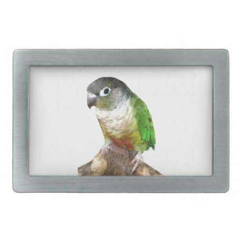 Green Cheek Conure Rectangular Belt Buckle