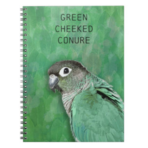 Green Cheeked Conure - beautiful bird Notebook
