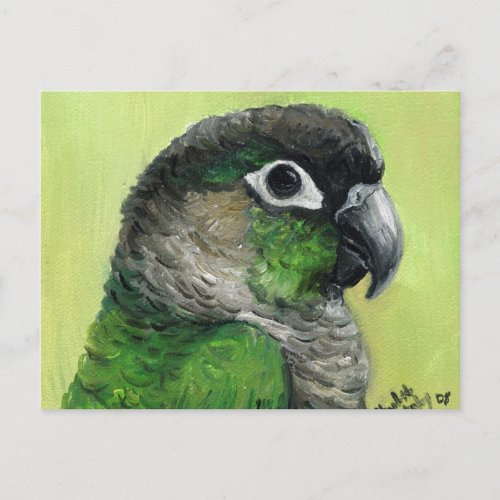 Green Cheeked Conure Bird Art Postcard