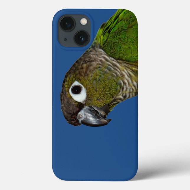 Green Cheeked Conure Case-Mate iPhone Case (Back)