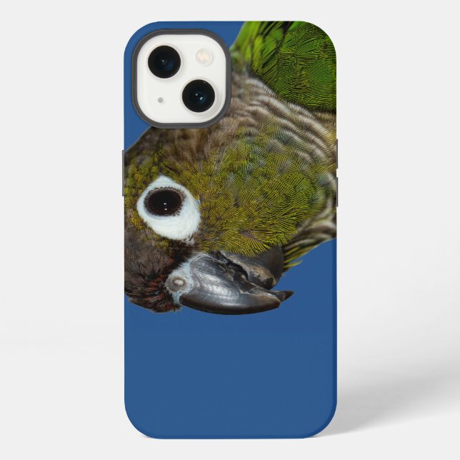 Green Cheeked Conure Iphone Case (Back)