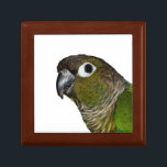 Green Cheeked Conure Keepsake Box<br><div class="desc">Scooter the Green Cheeked Conure loves to eat toasted oats.  But only those that have been soaked in milk. Image copyright 2015 Eulas Bradford</div>