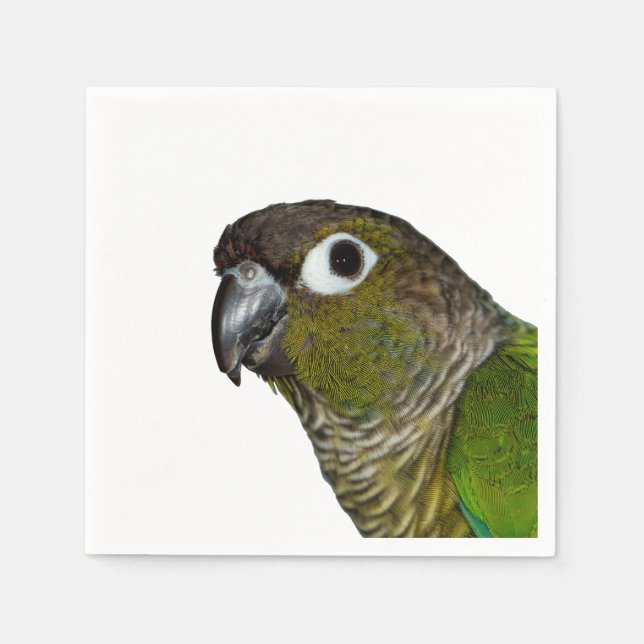 Green Cheeked Conure Paper Napkins (Front)