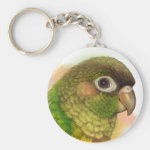 Sun Blue-Crowned Green-Cheeked Conures Realistic Painting Bird Gifts Keychain
