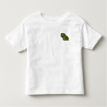 Green Cheeked Conure