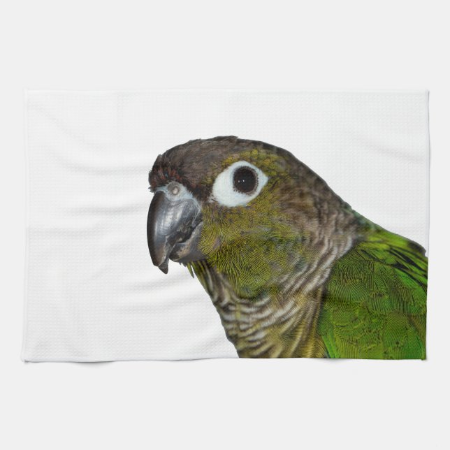 Green Cheeked Conure Towel (Horizontal)