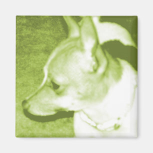 Green Chihuahua Pop Art Magnet